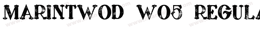 MarinTwoD W05 Regular字体转换